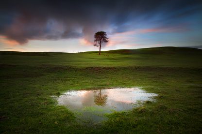 Mansfield, Victoria | Alex Wise Photography