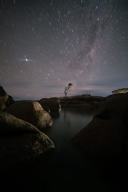 Milkyway over Binalong Bay Tree